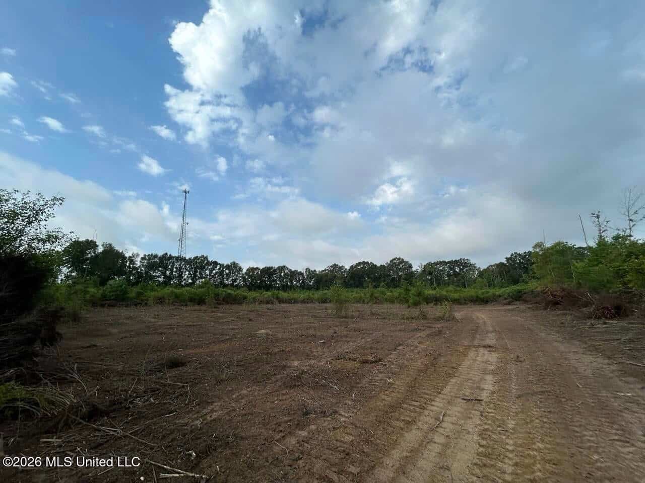 82± Acre Hunting Property in Wilkinson County, MS