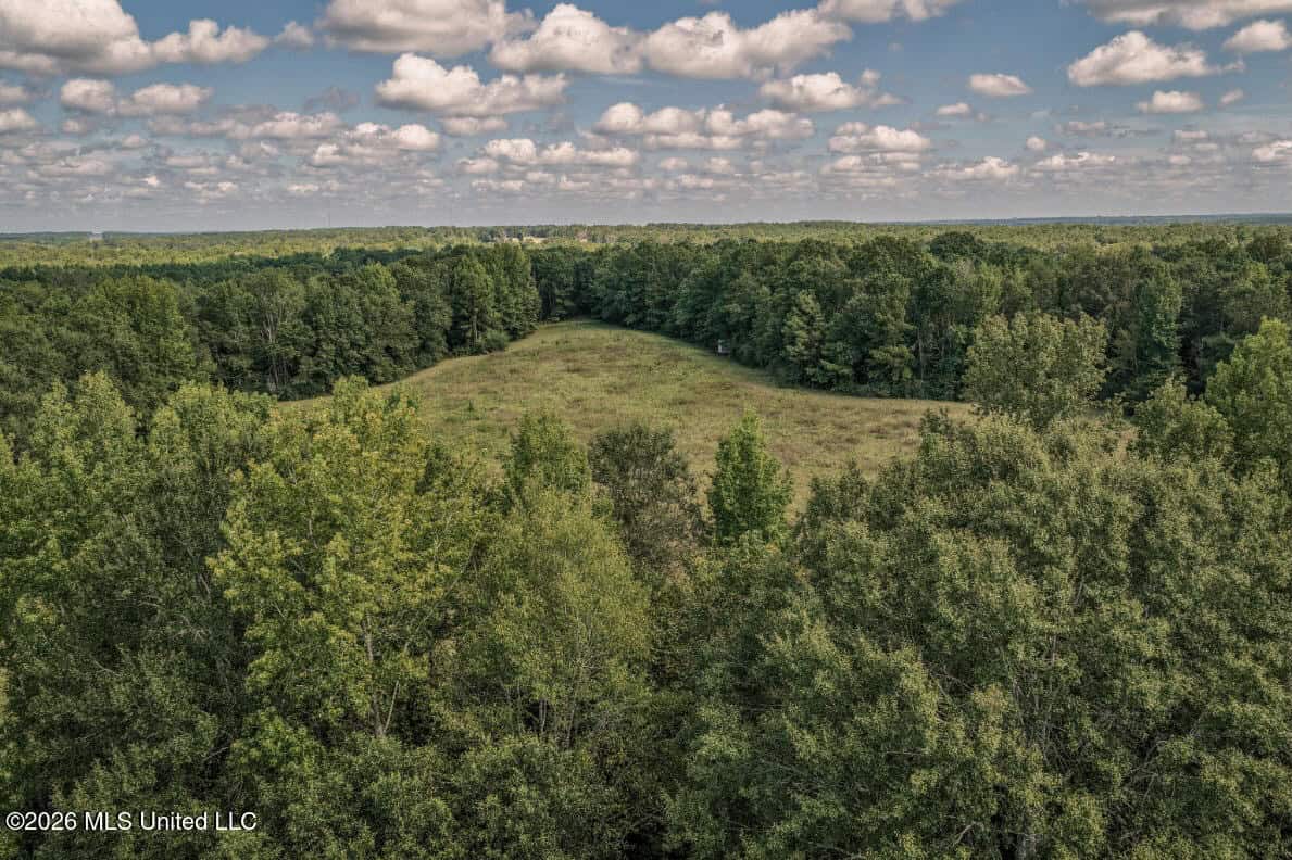 HWY 49 Land for Sale Simpson County, MS