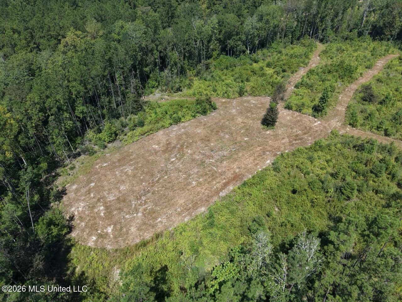 147± Acre Hunting Property in Plainview, LA