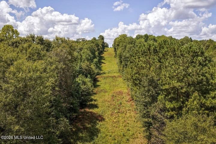 31 Acres for Sale Near Collins MS | Mature Timber & Hunting