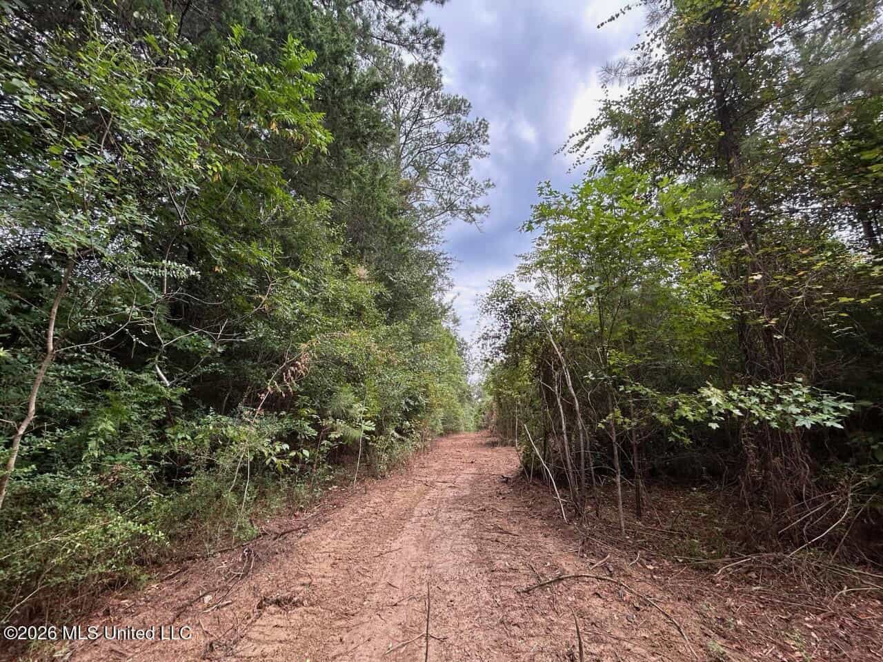 53± Acre Hunting Property Near Centreville, MS