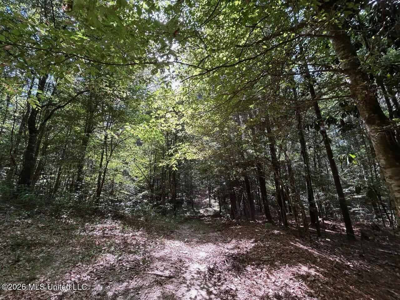 FRANKLIN COUNTY LAND FOR SALE NEAR McCALL CREEK