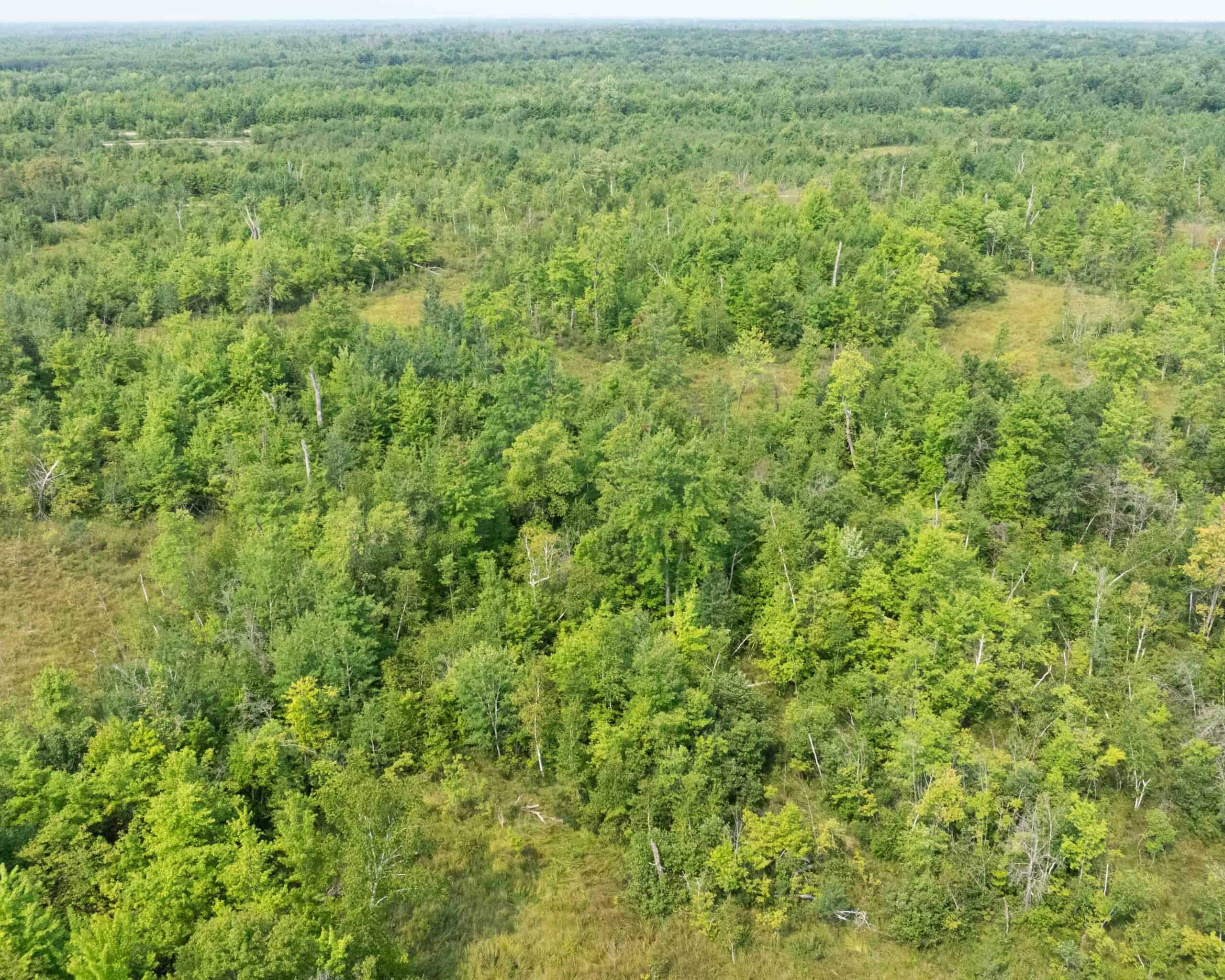 Juneau County WI 80 Acre Camp For Sale