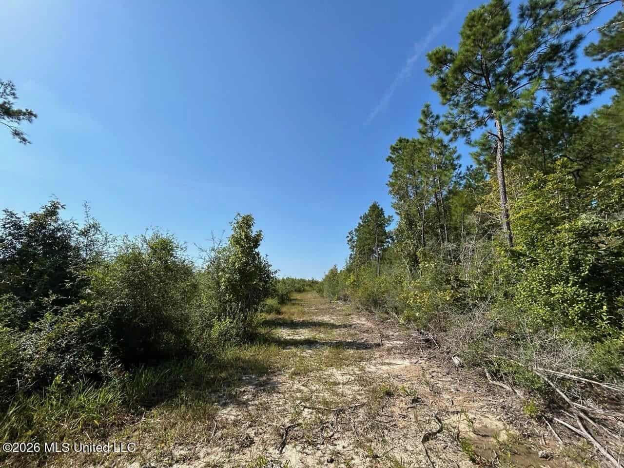 50± Acre Homesite & Hunting Land in Plainview, LA