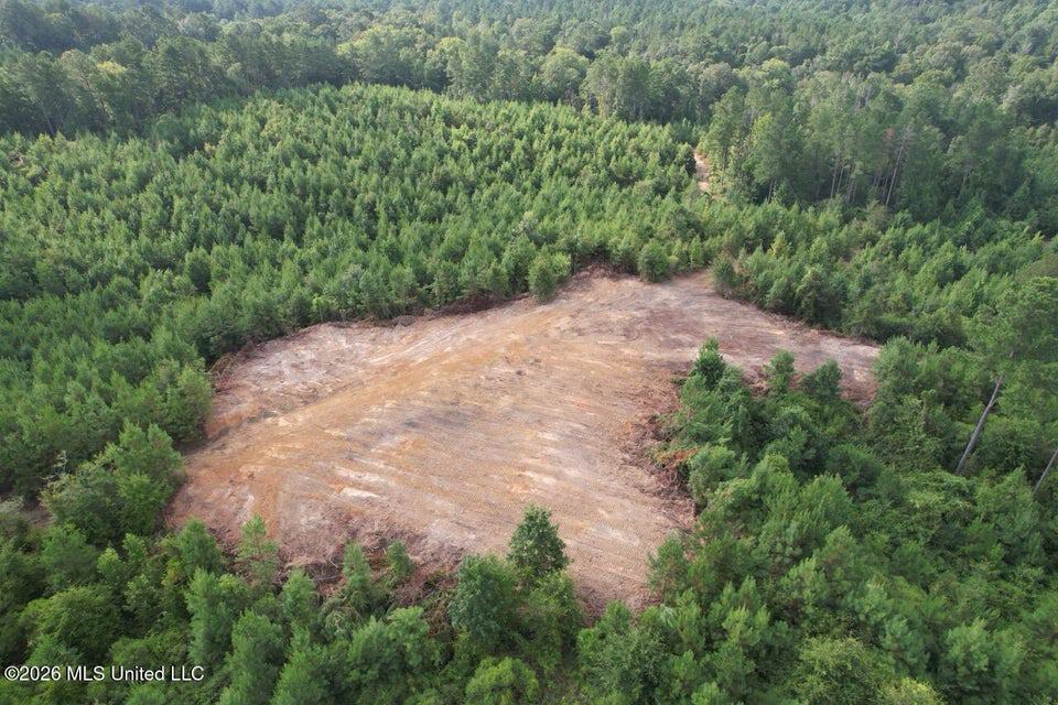 90± Acre Hunting Tract for Sale in Meadville, MS