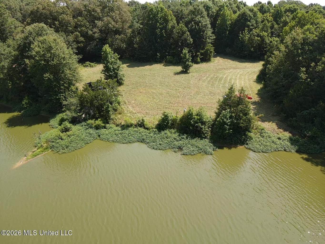 81-Acre Timber Property on 20-Acre Lake in Vaughan, MS