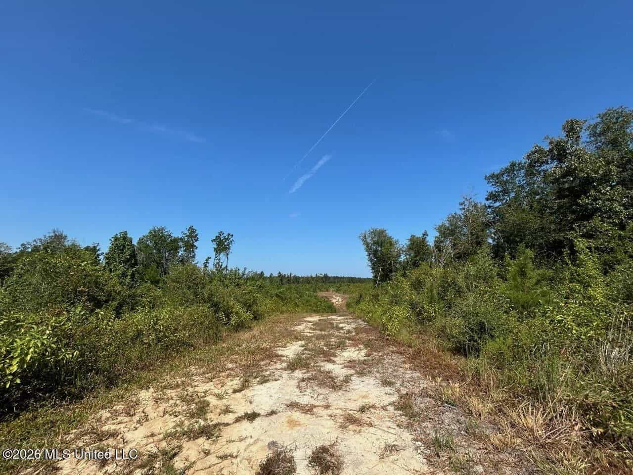 42± Acre Homesite & Hunting Land in Plainview, LA