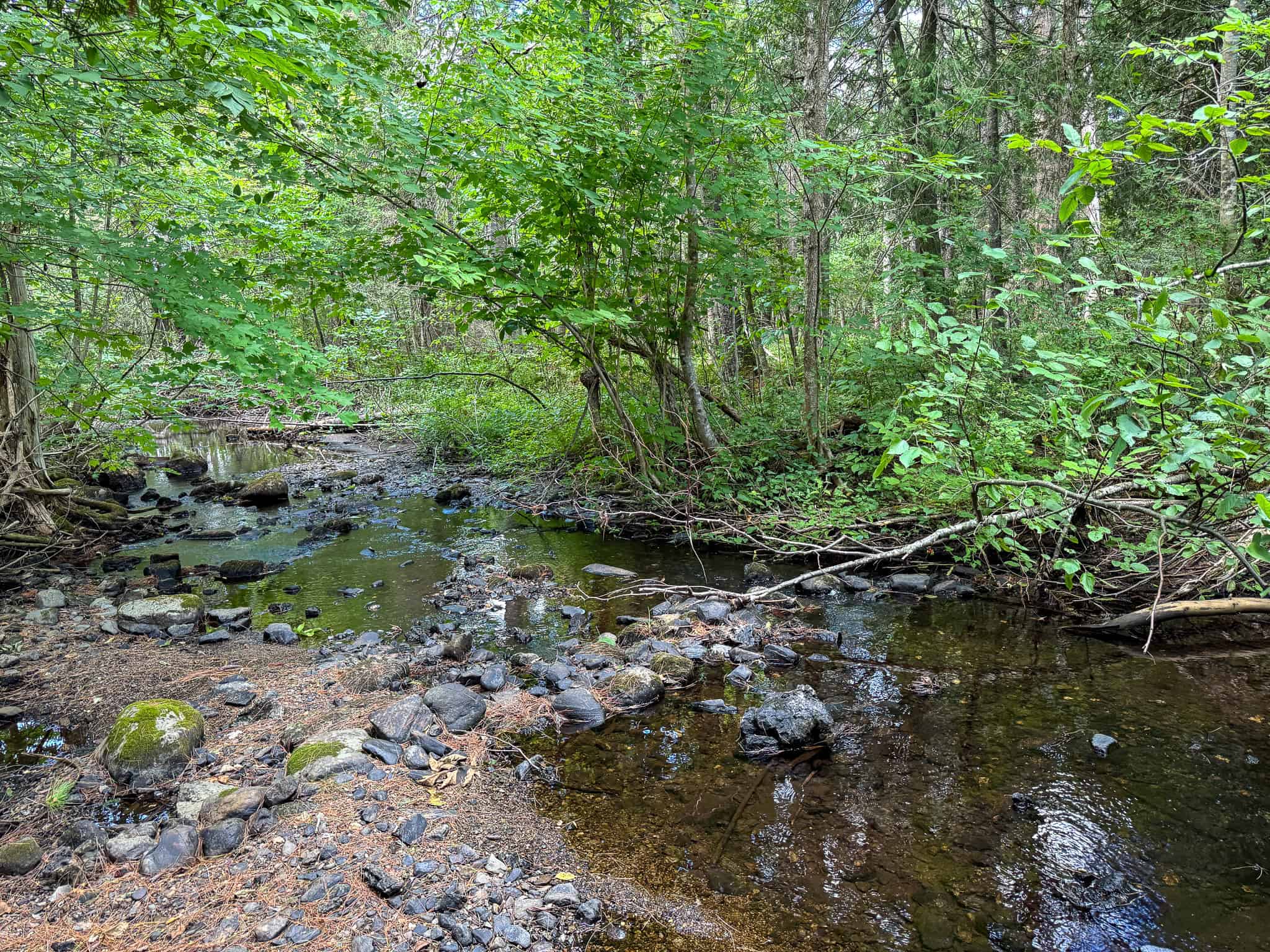 42.5 Acre Off-Grid Get Away – Springfield, Maine