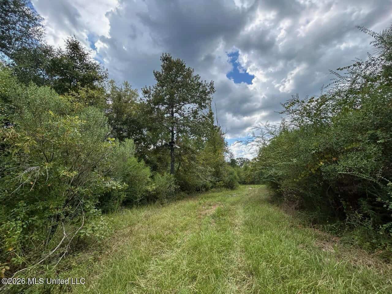 85± Acre Turnkey Hunting Property in Amite County, MS