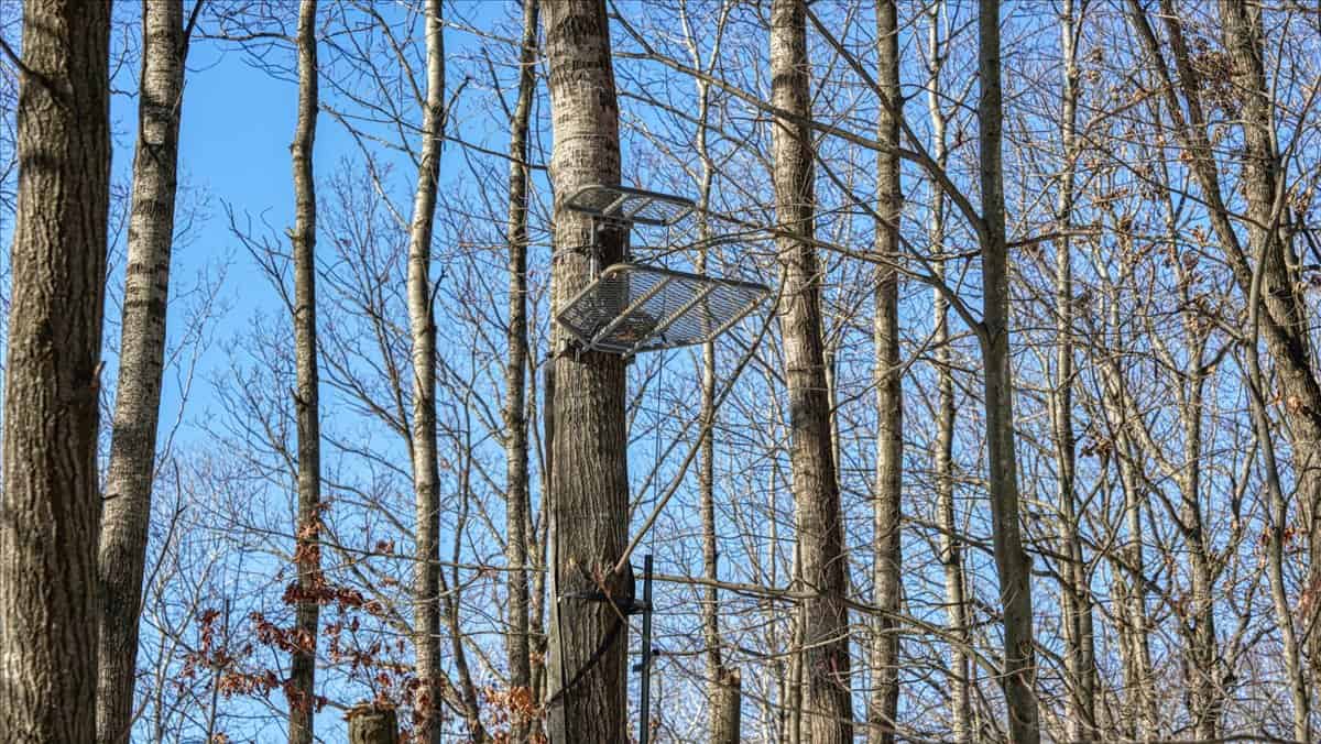 68± Acres of Timber, Water & Recreation | Monroe County, Wisconsin