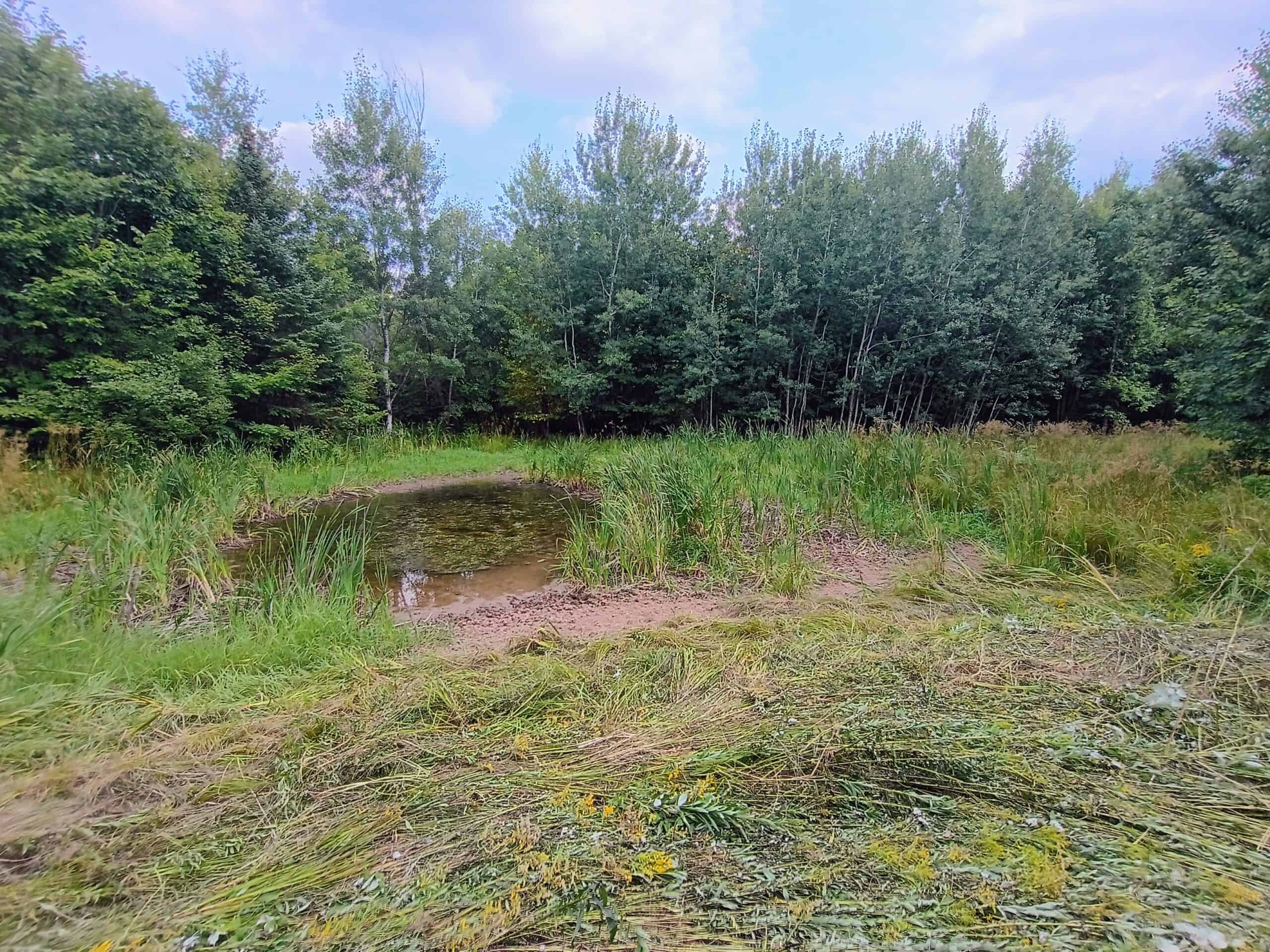 280 ± Acres Near Butternut Lake, WI Recreational Land