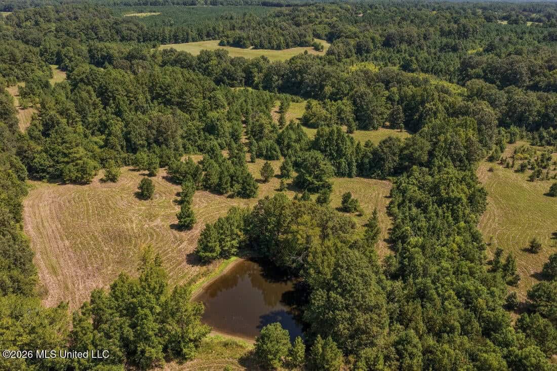 52.25± Acres in Copiah County, MS Near Hazlehurst