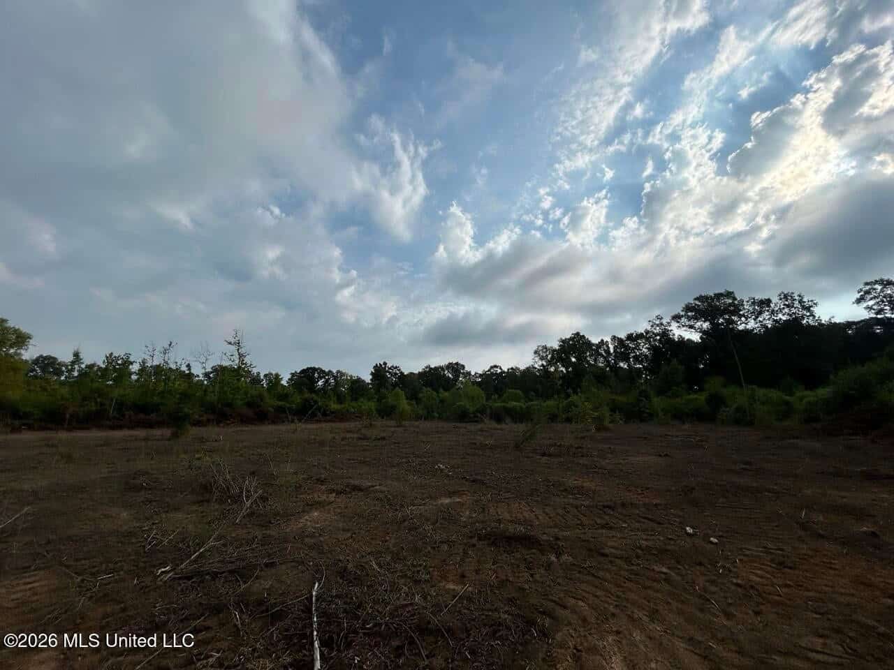 82± Acre Hunting Property in Wilkinson County, MS