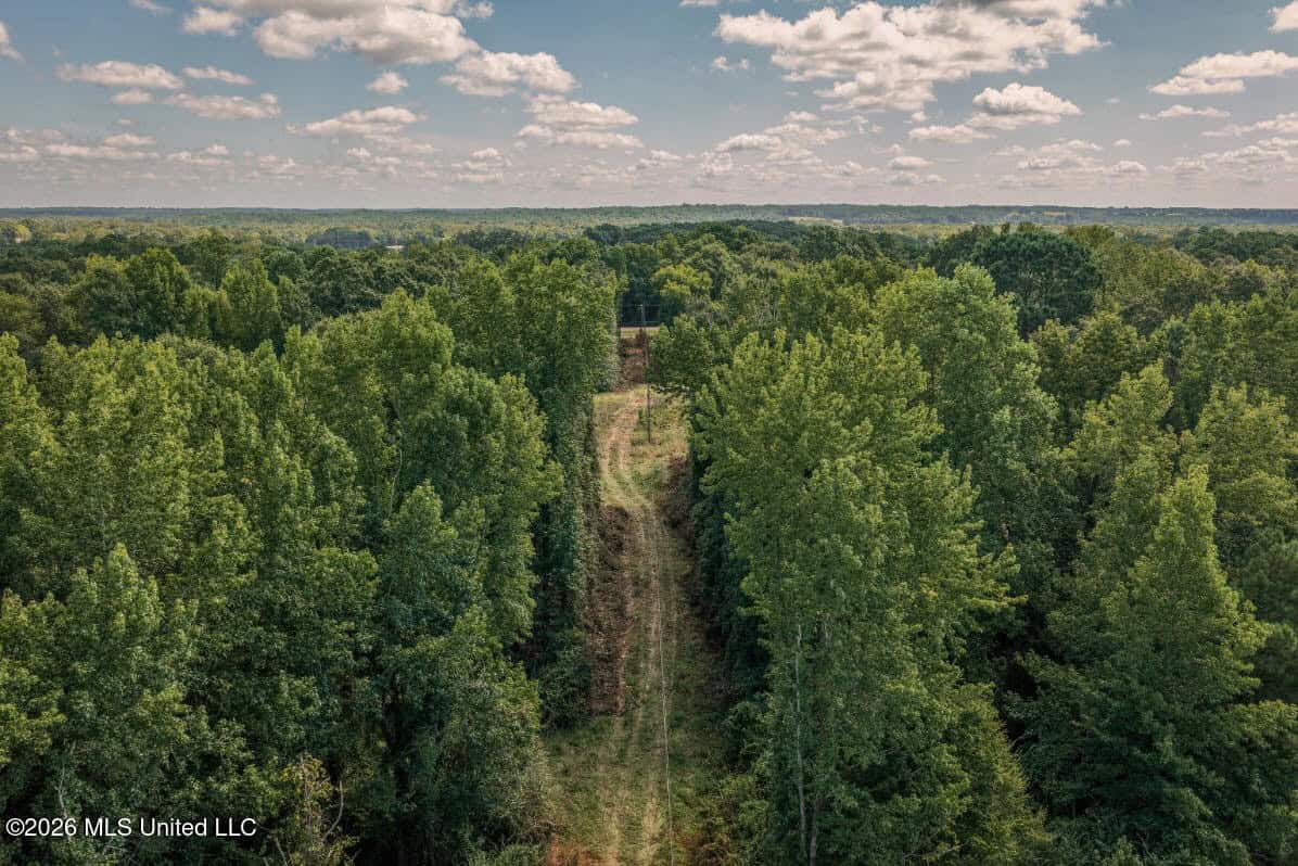 HWY 49 Land for Sale Simpson County, MS