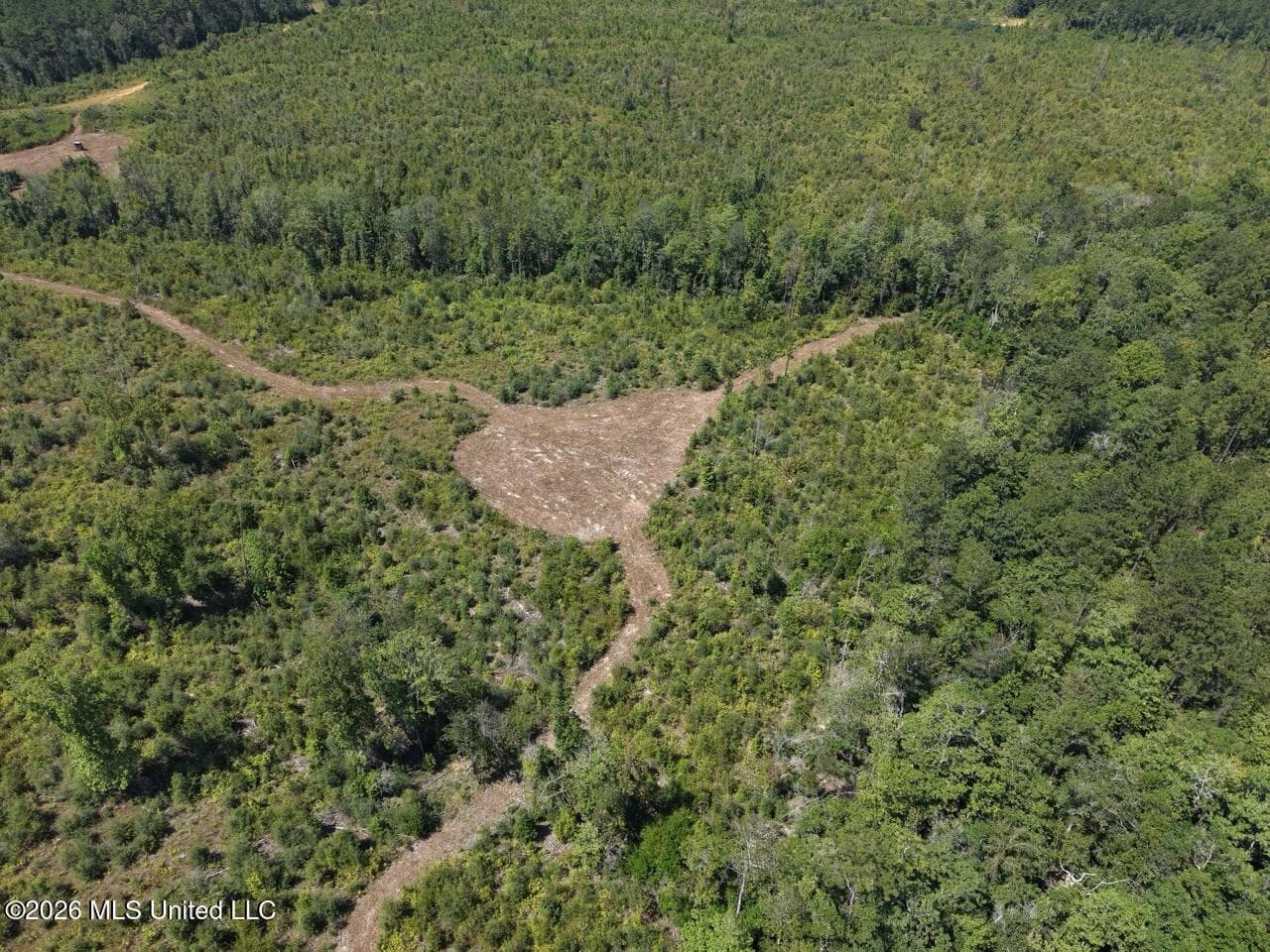 147± Acre Hunting Property in Plainview, LA