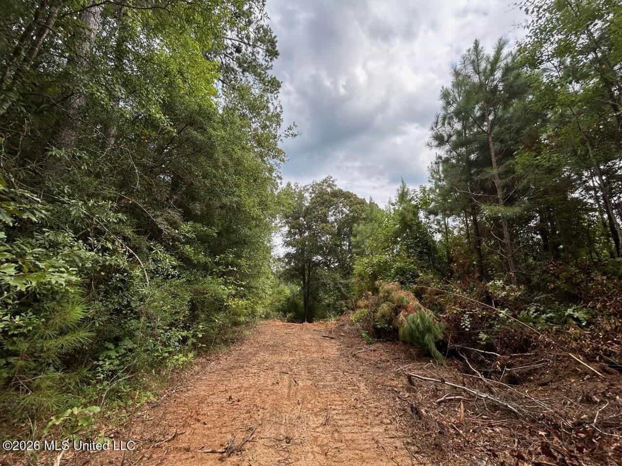 53± Acre Hunting Property Near Centreville, MS