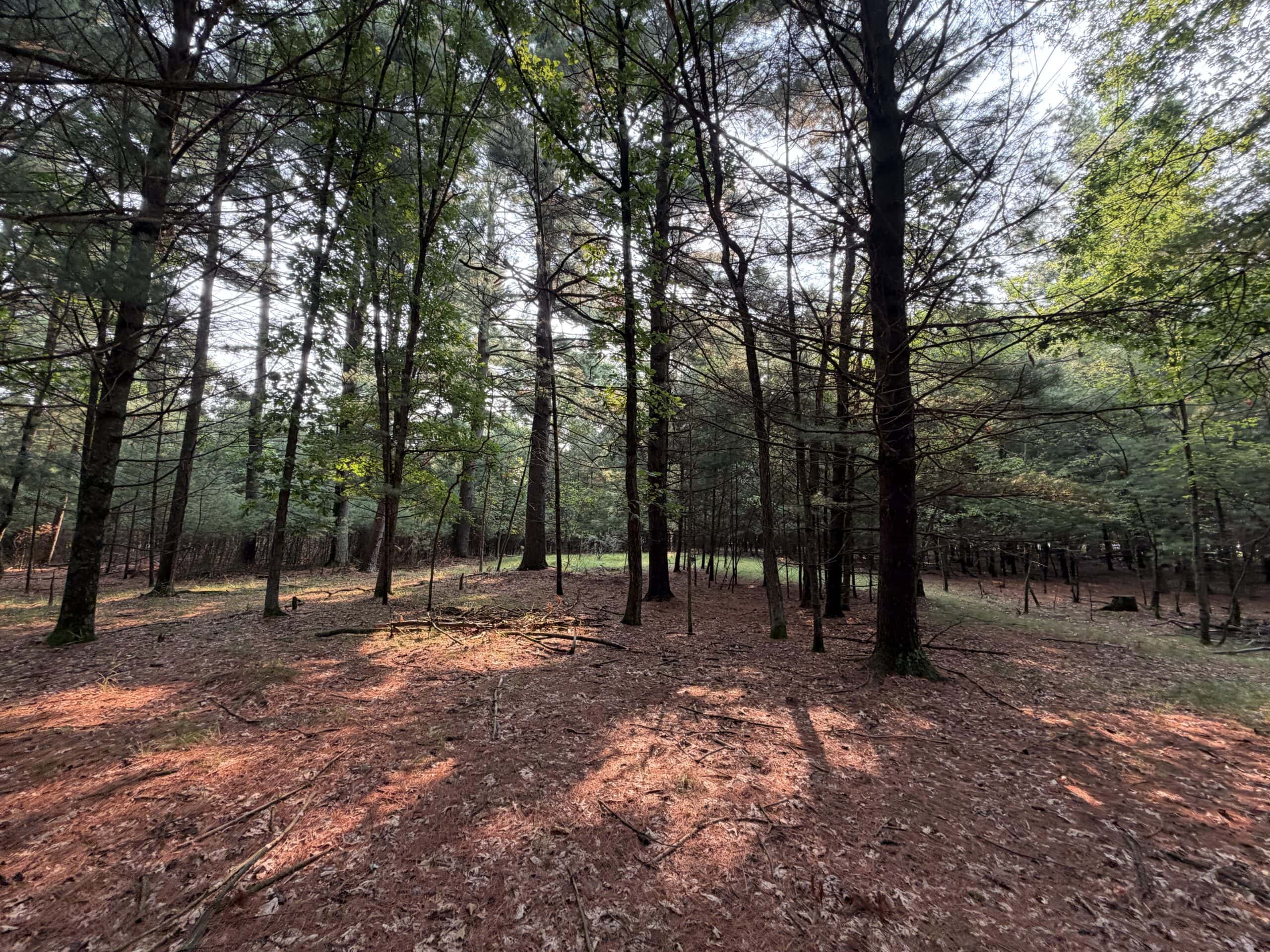 Rare opportunity to own 17.54 wooded acres within the City of Adams