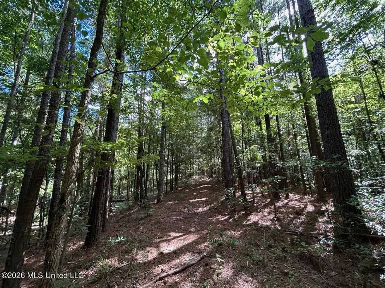 FRANKLIN COUNTY LAND FOR SALE NEAR McCALL CREEK