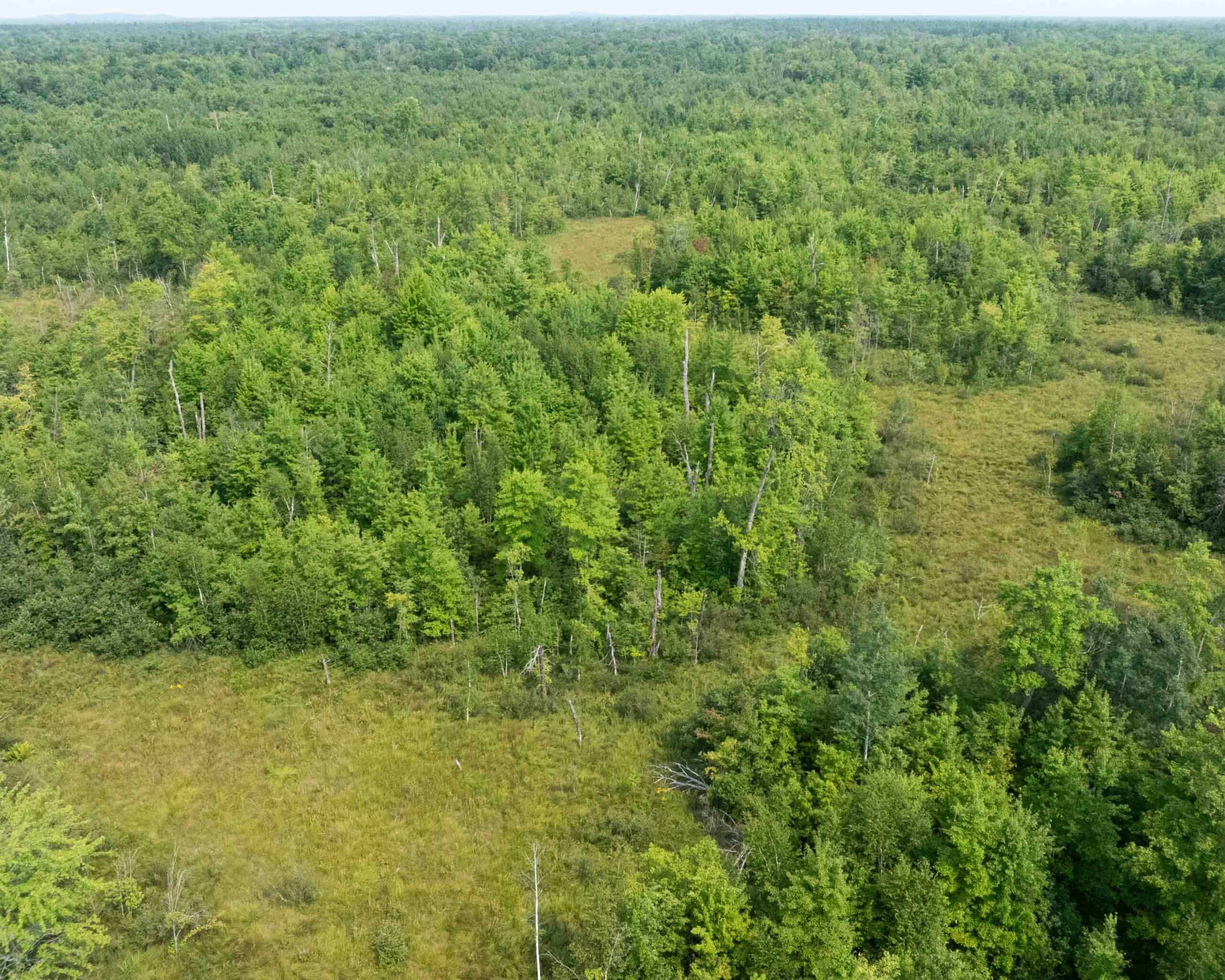 Juneau County WI 80 Acre Camp For Sale