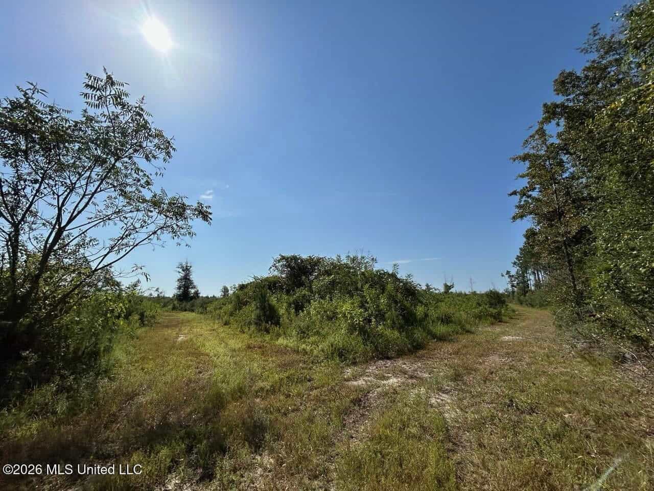 50± Acre Homesite & Hunting Land in Plainview, LA