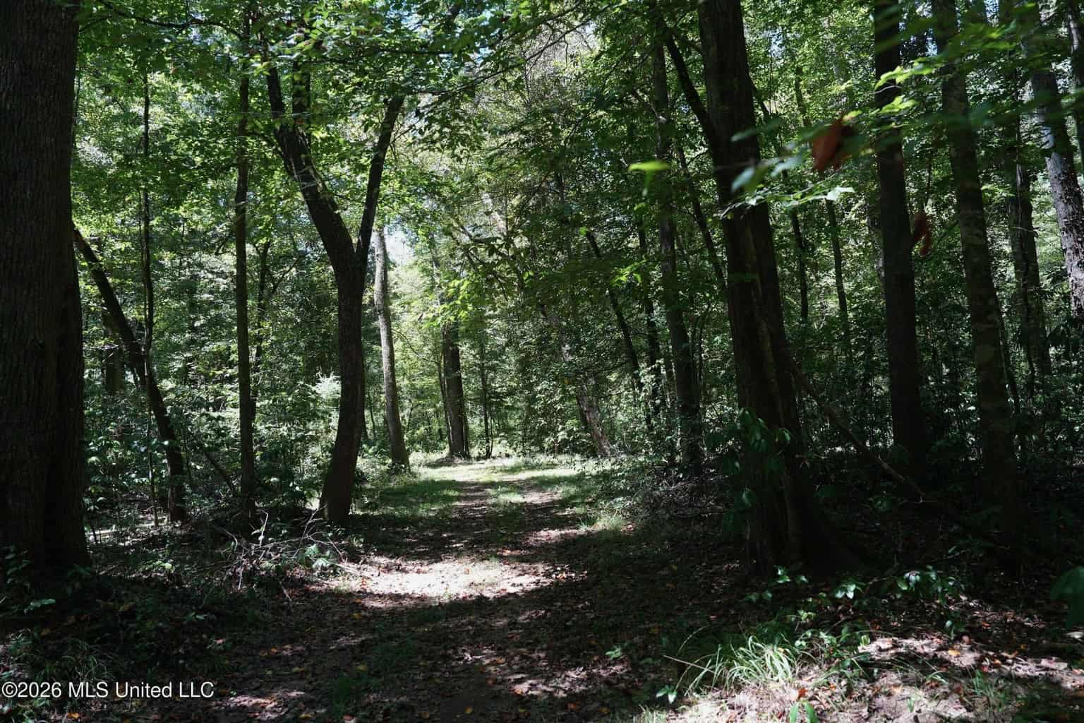 150 Acres for Sale in Magnolia MS on Tangipahoa River