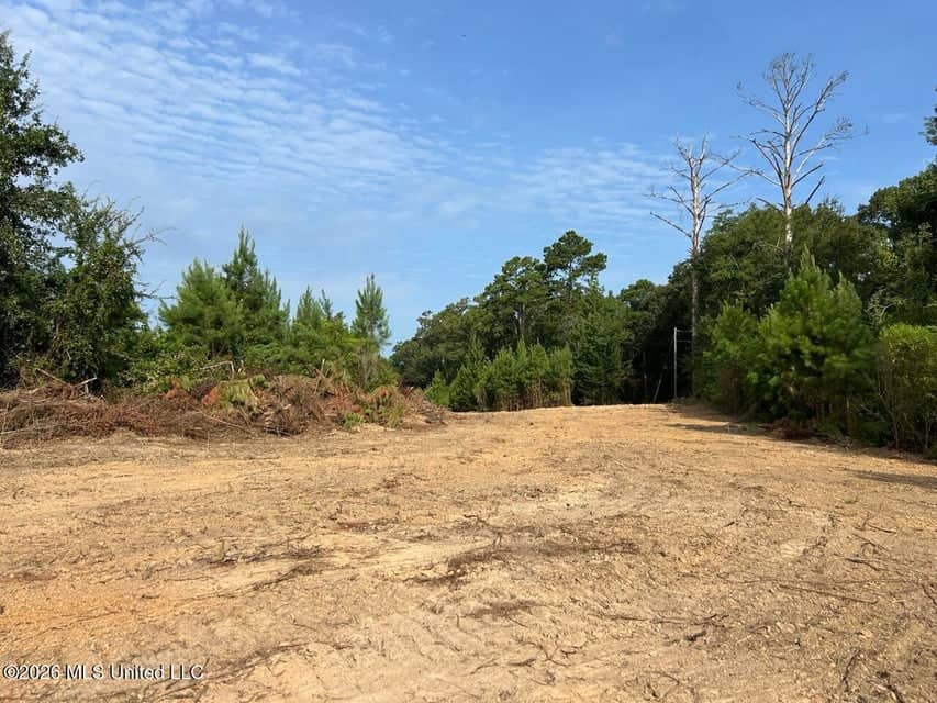 90± Acre Hunting Tract for Sale in Meadville, MS
