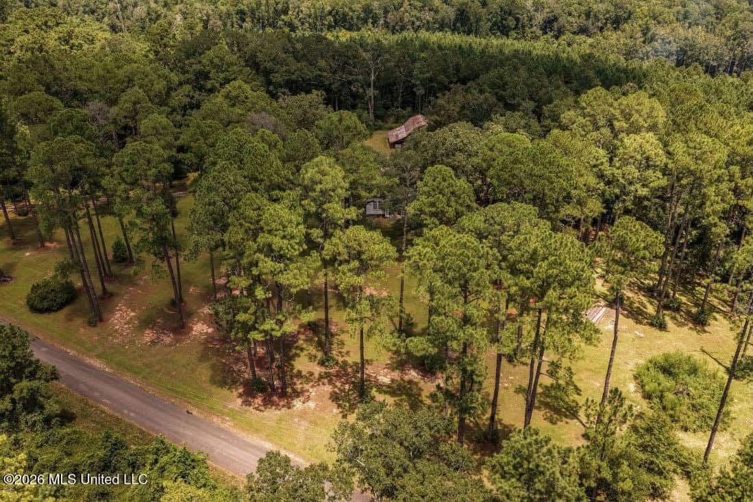 20 Acres for Sale Magnolia MS with Barn & Mature Timber