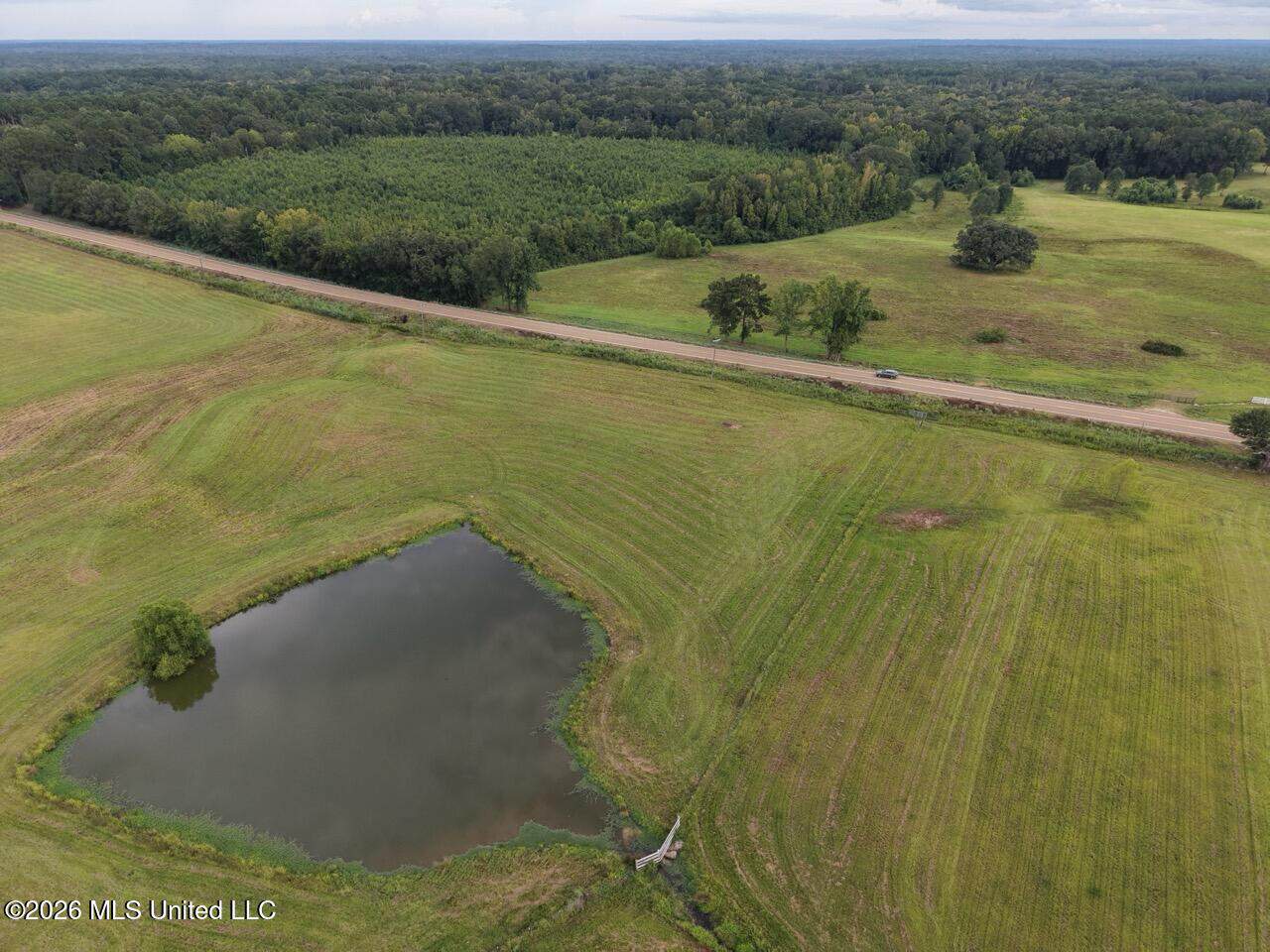 25± Acre Farm & Homesite in Centreville, MS