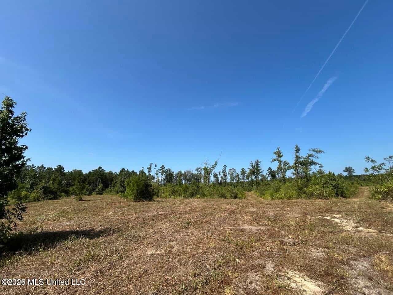 42± Acre Homesite & Hunting Land in Plainview, LA
