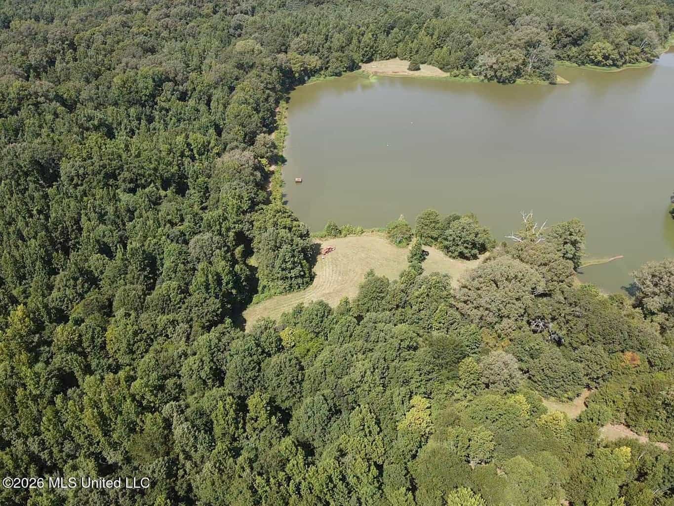 81-Acre Timber Property on 20-Acre Lake in Vaughan, MS