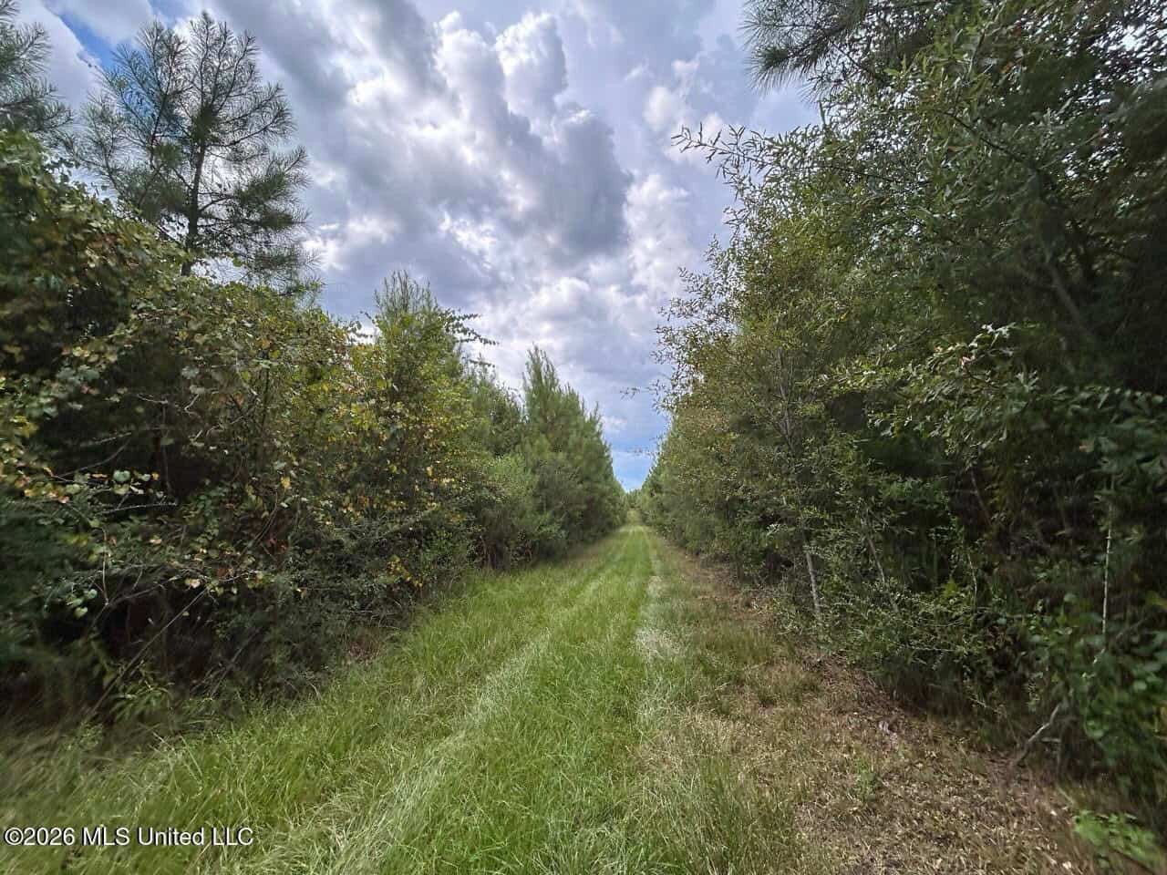85± Acre Turnkey Hunting Property in Amite County, MS