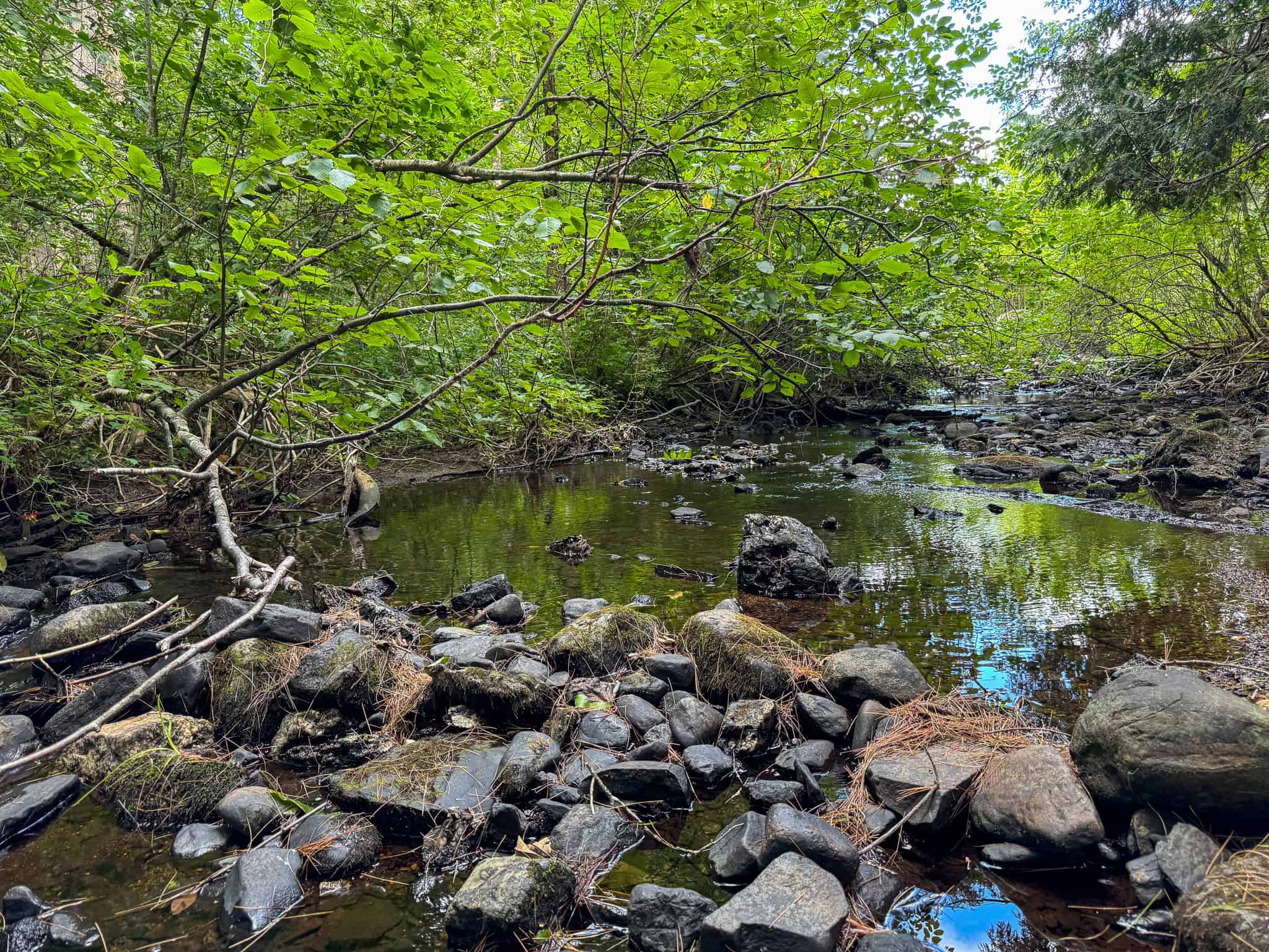 42.5 Acre Off-Grid Get Away – Springfield, Maine