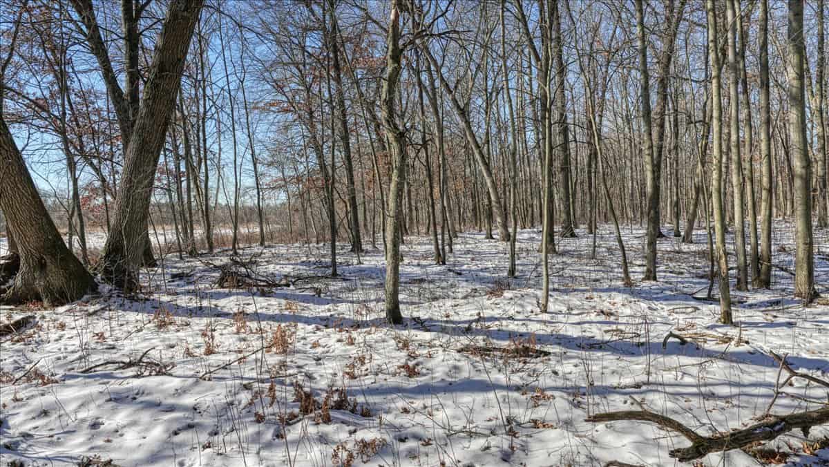 68± Acres of Timber, Water & Recreation | Monroe County, Wisconsin