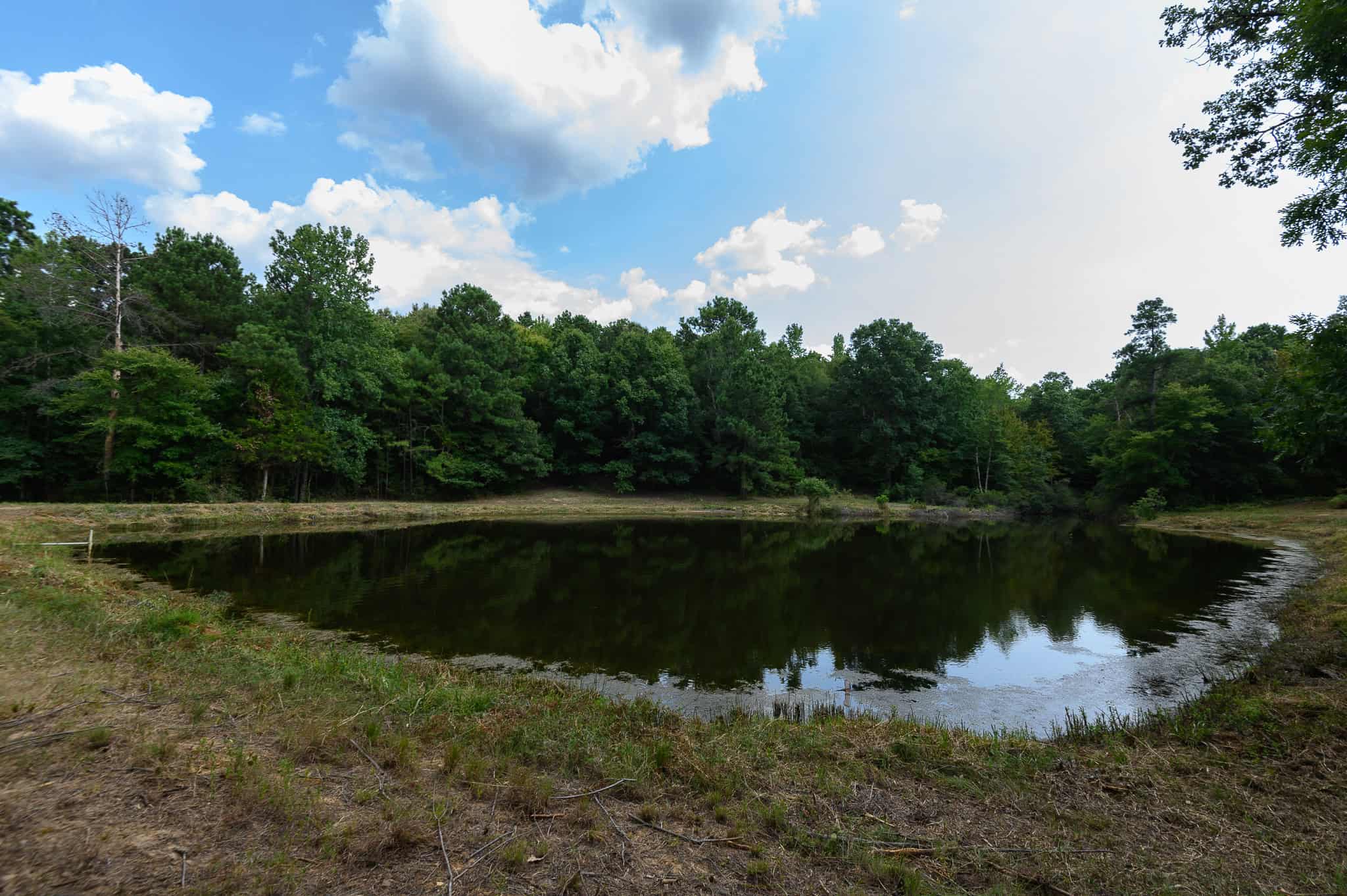 East Texas Hunting & Timber Land for Sale in Smith County