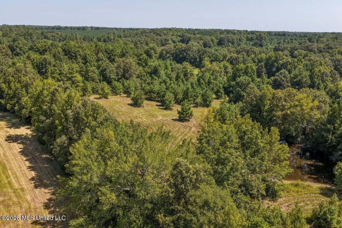 52.25± Acres in Copiah County, MS Near Hazlehurst