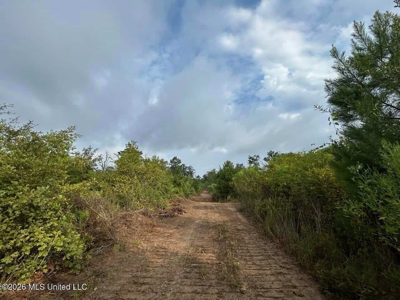 82± Acre Hunting Property in Wilkinson County, MS