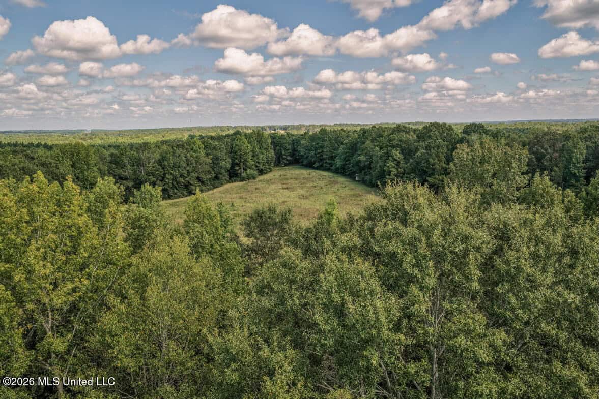 HWY 49 Land for Sale Simpson County, MS