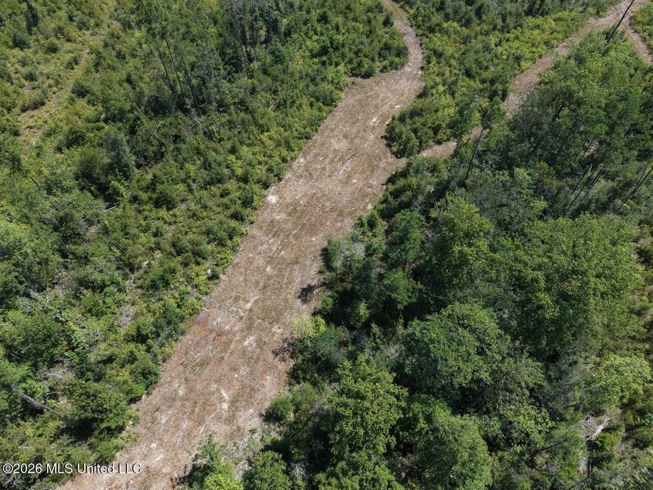 147± Acre Hunting Property in Plainview, LA