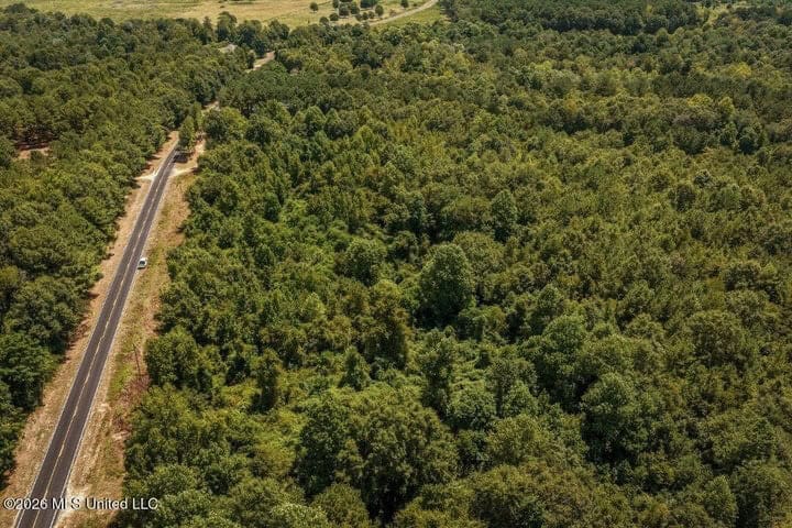 31 Acres for Sale Near Collins MS | Mature Timber & Hunting