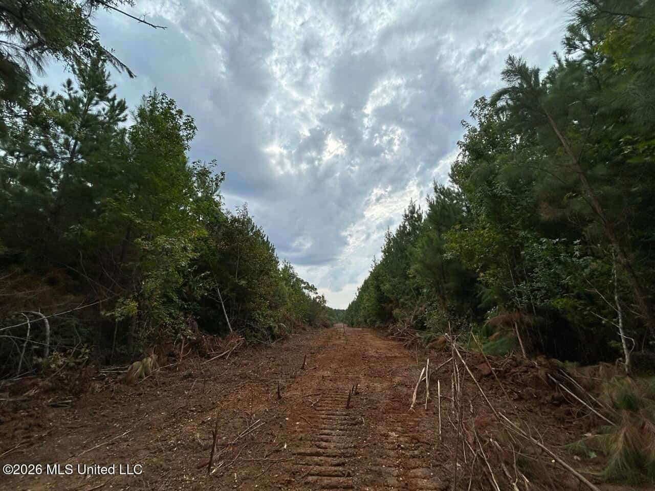 53± Acre Hunting Property Near Centreville, MS