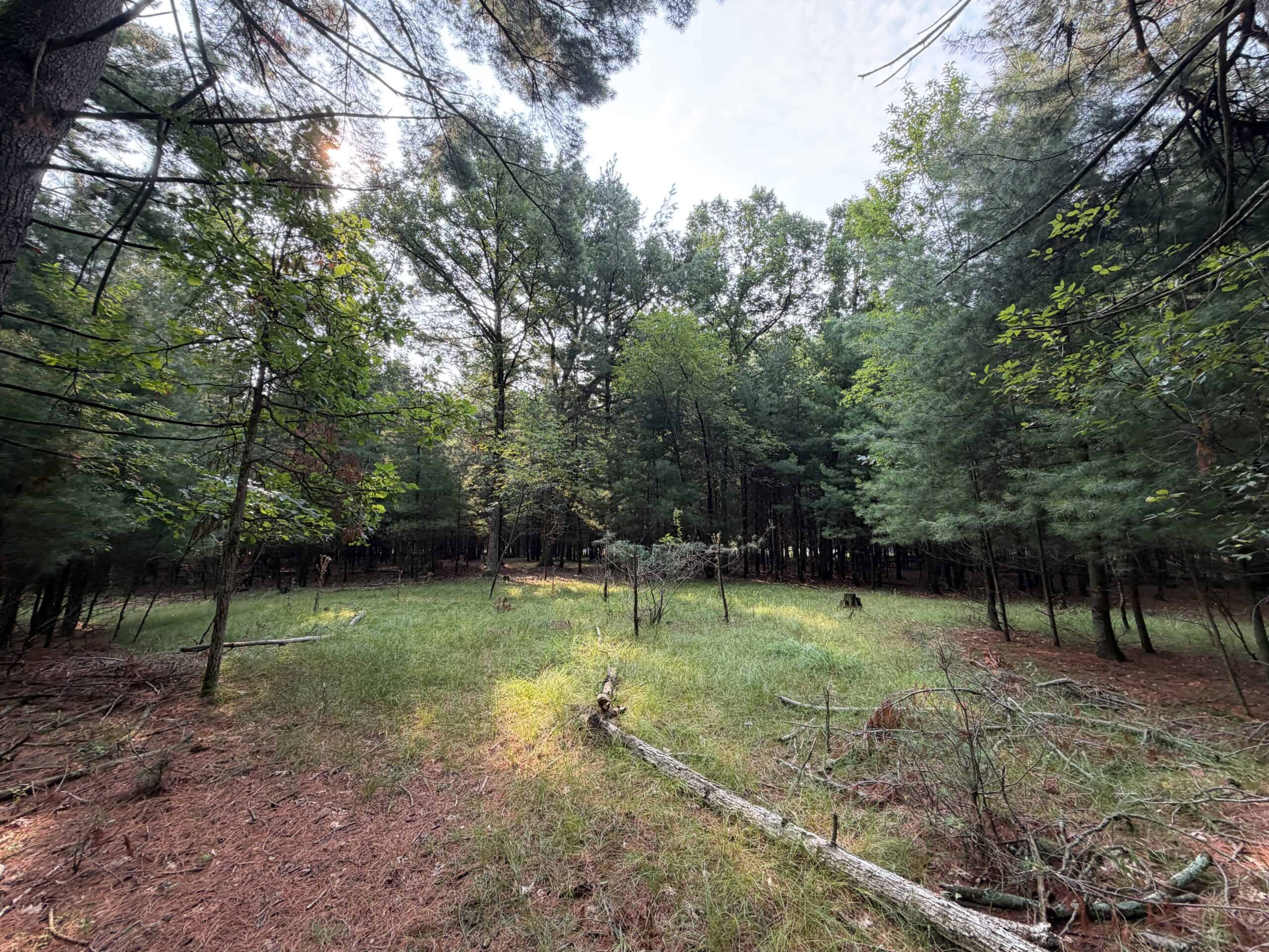 Rare opportunity to own 17.54 wooded acres within the City of Adams