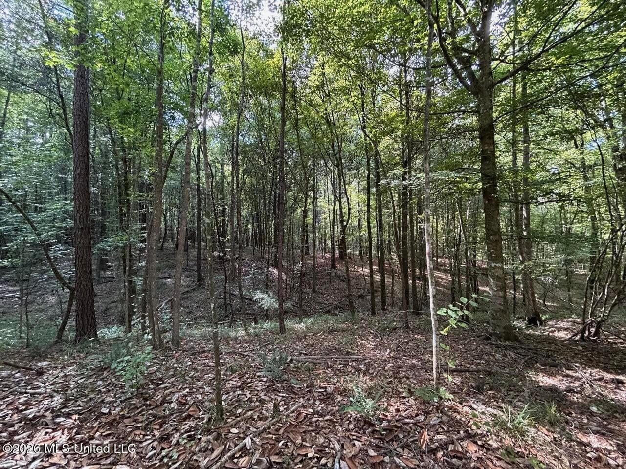 FRANKLIN COUNTY LAND FOR SALE NEAR McCALL CREEK