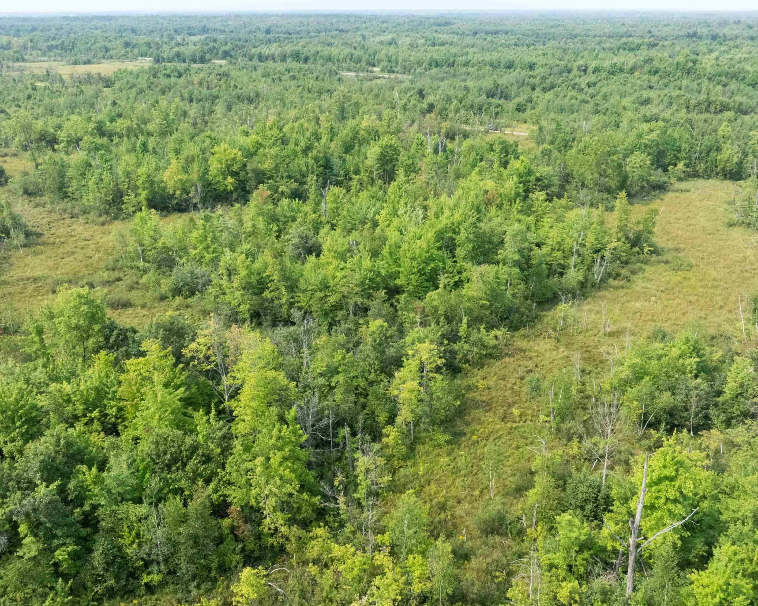 Juneau County WI 80 Acre Camp For Sale