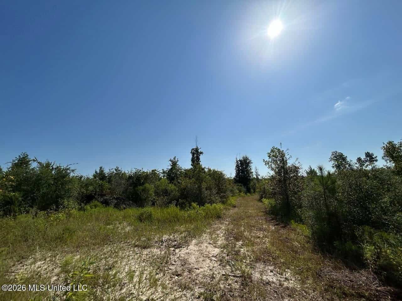 50± Acre Homesite & Hunting Land in Plainview, LA