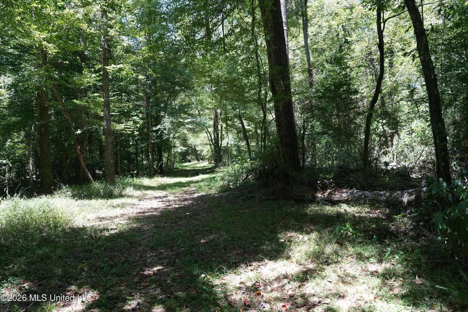 150 Acres for Sale in Magnolia MS on Tangipahoa River