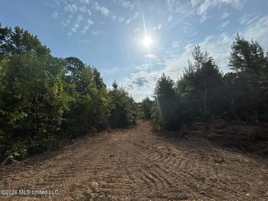 90± Acre Hunting Tract for Sale in Meadville, MS