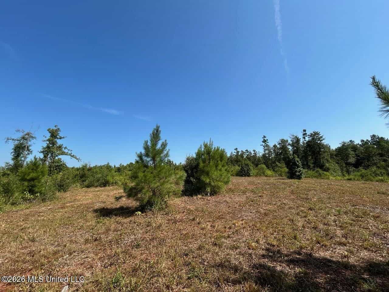 42± Acre Homesite & Hunting Land in Plainview, LA