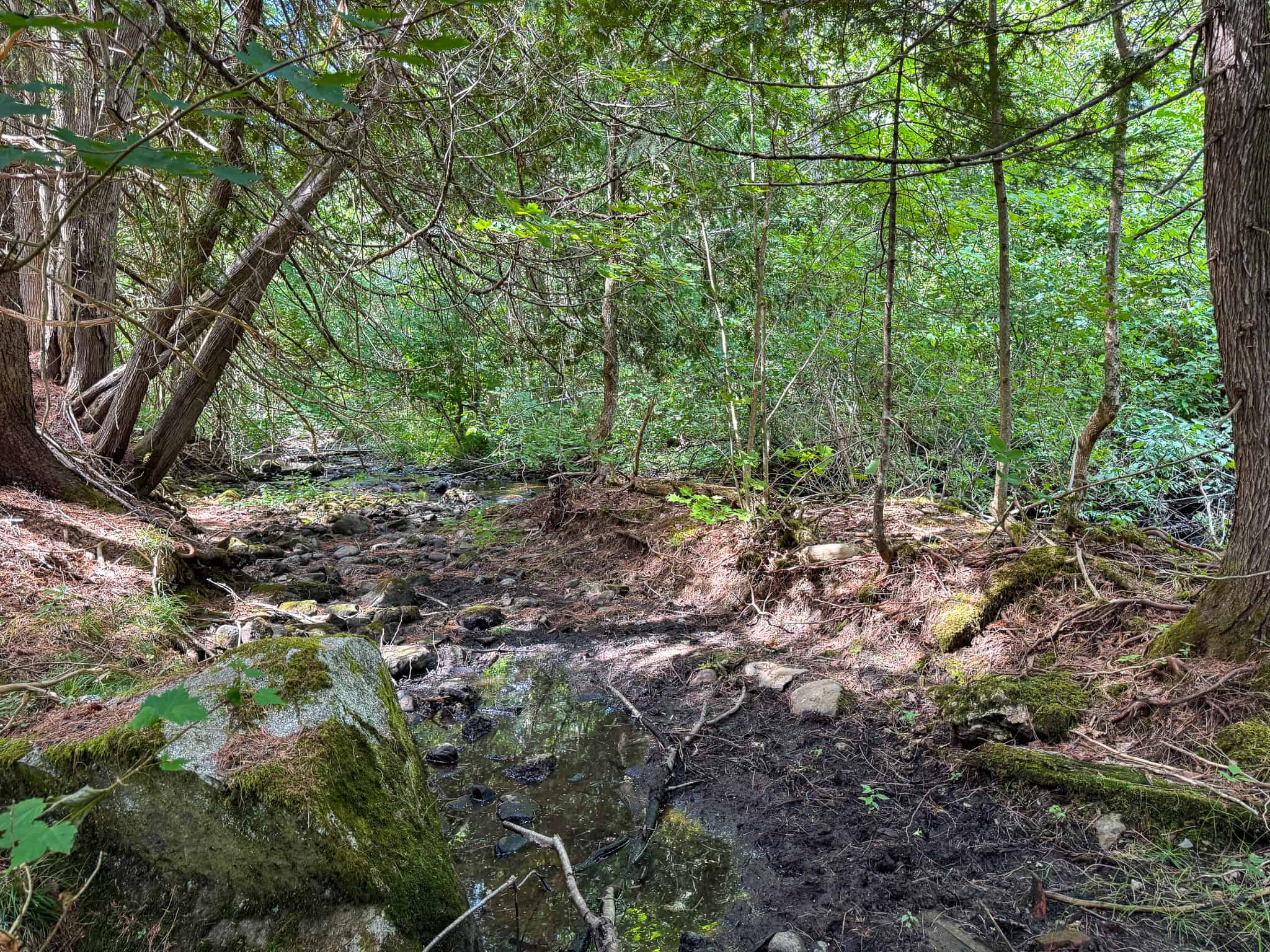 42.5 Acre Off-Grid Get Away – Springfield, Maine