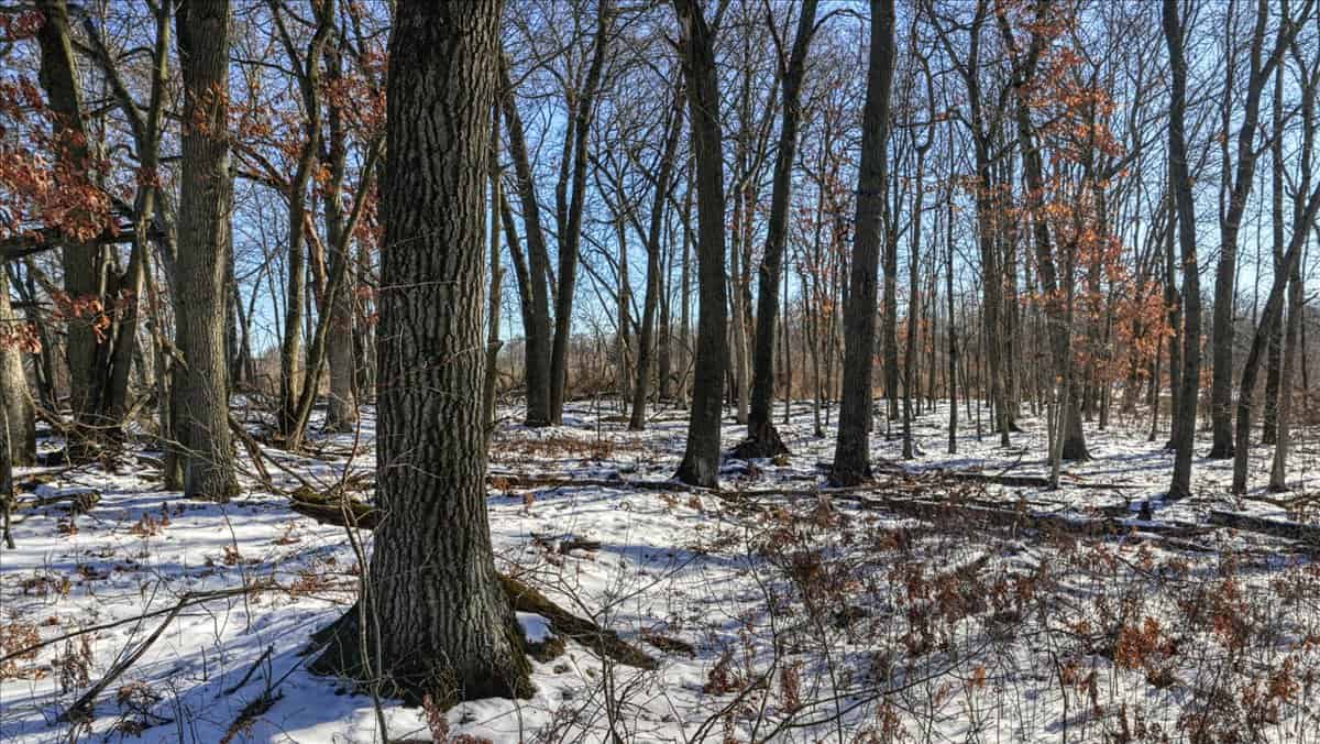 68± Acres of Timber, Water & Recreation | Monroe County, Wisconsin