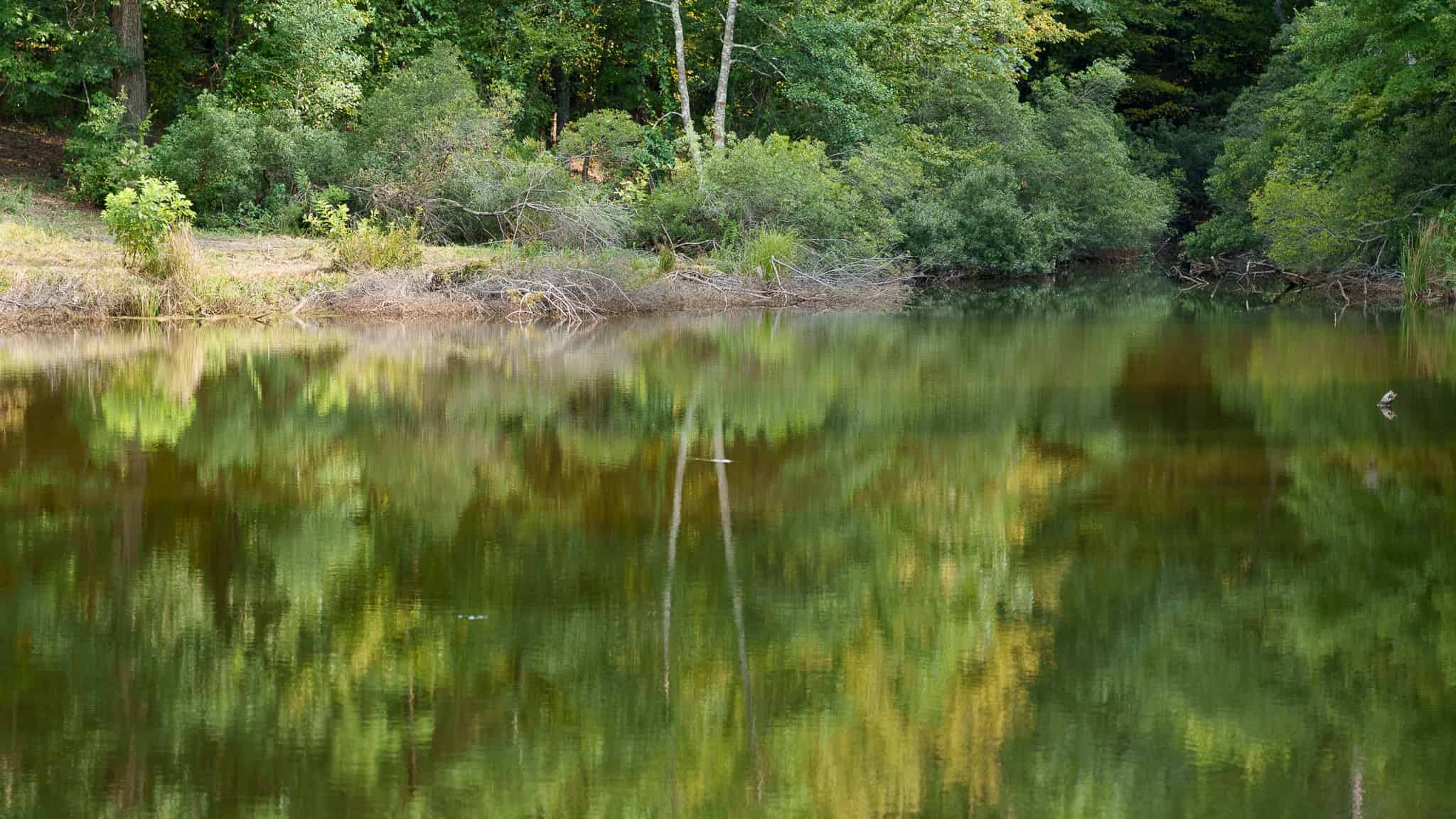 East Texas Hunting & Timber Land for Sale in Smith County